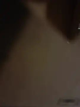 misterBigDick19 live cam on StripChat