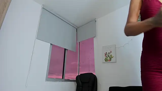barbie_ds