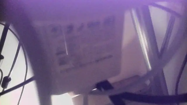 werdez live sex cam