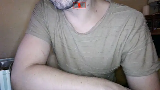Hgay6935 webcam