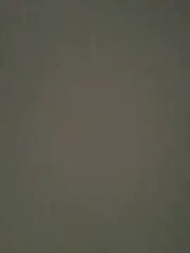 Satiritaxxx