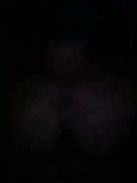TeddyBearXX