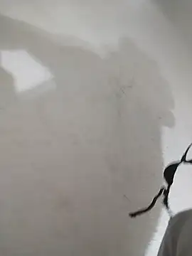 rejypool webcam