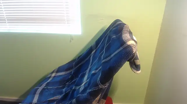 the1invisibleboy