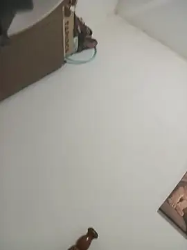 Fannyfoxfi live cam on StripChat