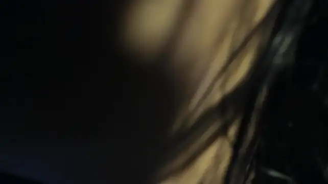 yeral2017