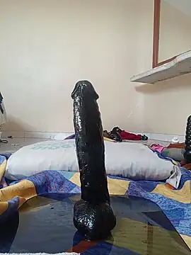 Cuchurus12166