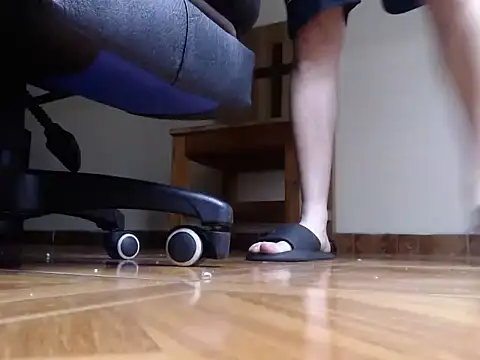 alphaswitchard