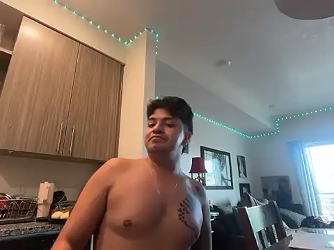 Paulitoeldeltijereo