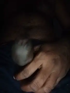 Luckyprasad2486