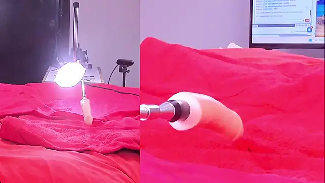 Ely_foxy