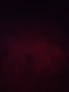 Fisting_couple