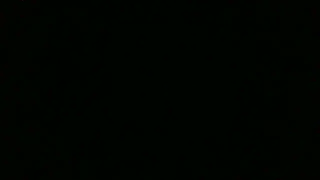 biondabona live cam on StripChat