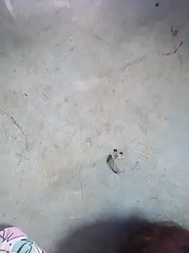 MoanaCaspier