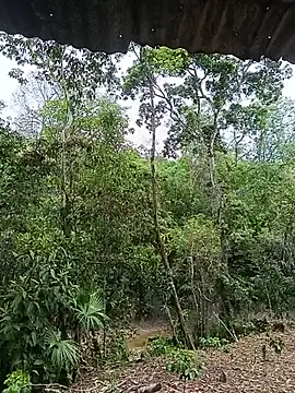 esmeralda_li