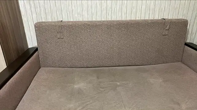 Shinylvy webcam