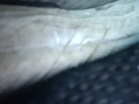 Lovemcurvy69 live cam on StripChat