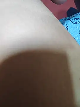 FansBRISA