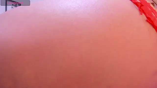 Cattabigass live cam on StripChat