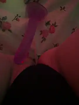 MissSofieaaa live cam on StripChat