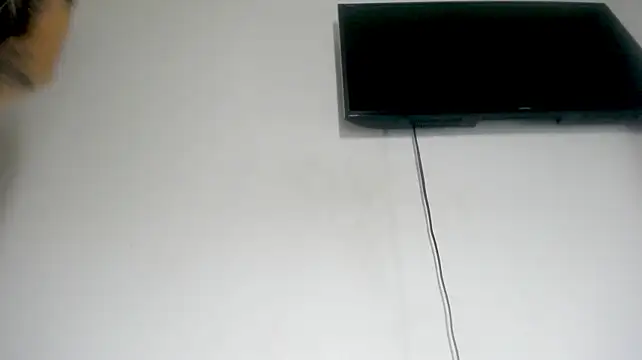 Fox_Loves