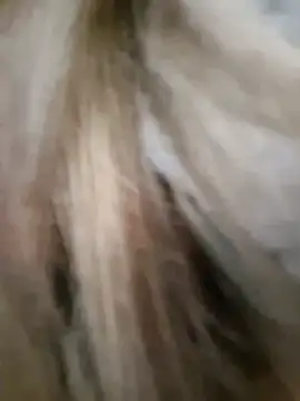 MissAmora9