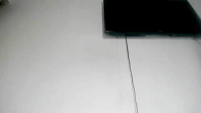 Fox_Loves