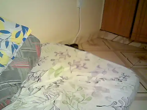 Snow_eye webcam
