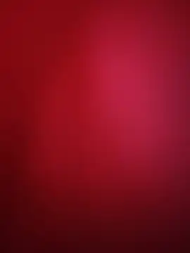 SilentDoll