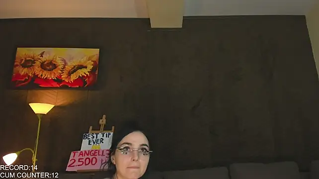 Roomies webcam