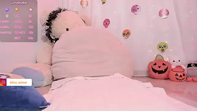 Alice_winter_ webcam