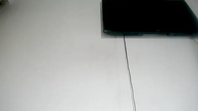 Fox_Loves