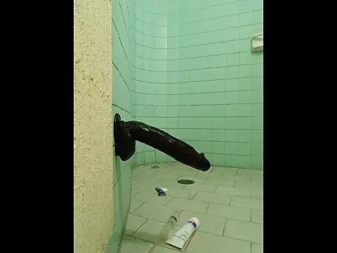 Cuchurus12166