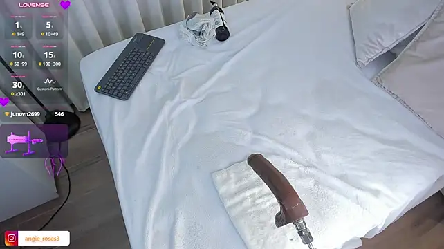 angiee_roses