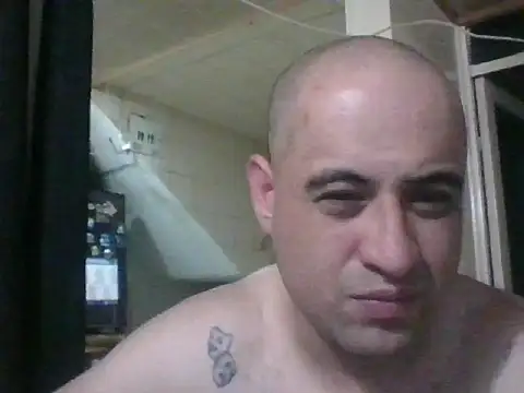 alphaswitchard