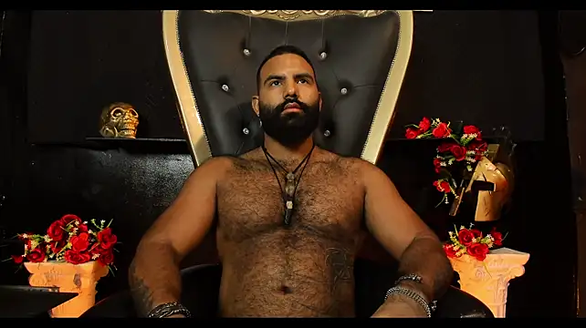 BeardAndrew webcam
