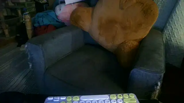 shadowdashlyla live cam on StripChat