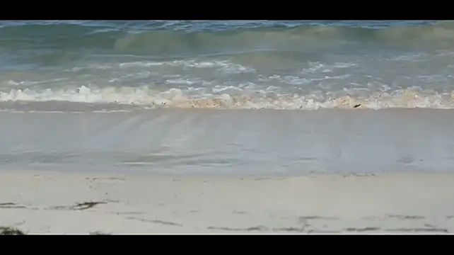 SrLuis18 live cam on StripChat