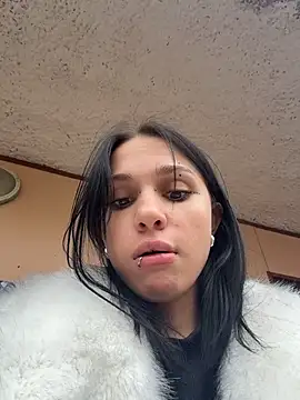 VendiMur