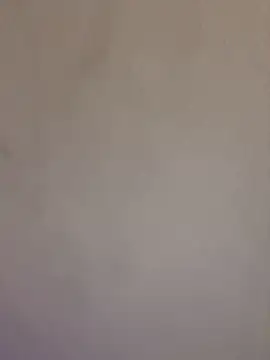Lara_petit