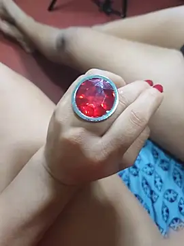 FansBRISA
