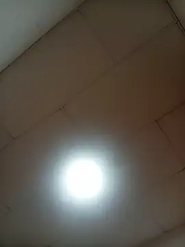 DizenedFanatic live cam on StripChat