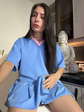 Modelo: Camistar18