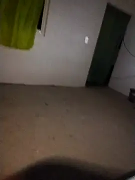 Alexgato69