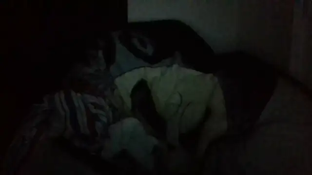 zdaddymm