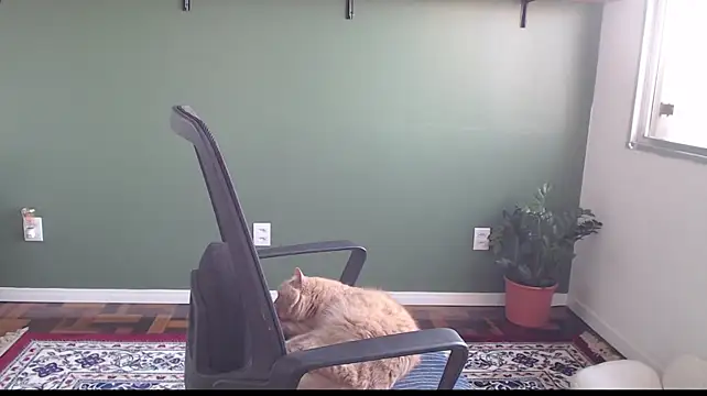 callmedemme webcam