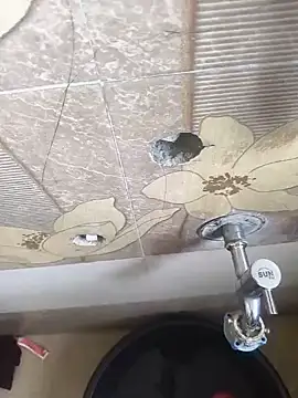 CplAnita