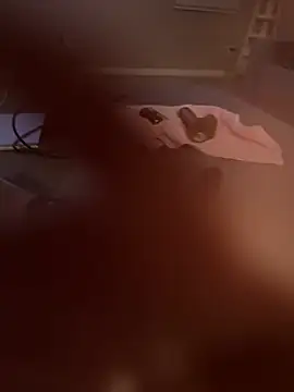 chicagobabe312