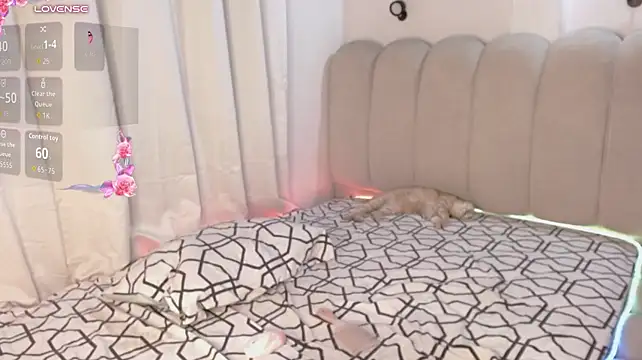 foxx-777 live cam on StripChat