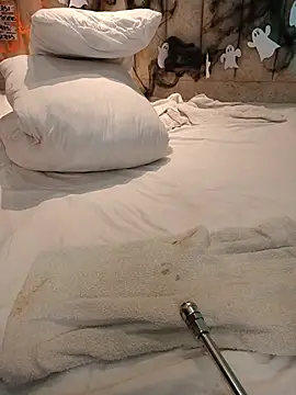 Arii_Vga